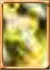Magic Arrow Enhancement Skill