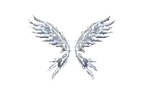Wings of Soul · žaidimo vaizdas