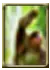 Beast Uppercut Mastery