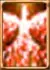 Shining Bird Enhancement Skill