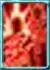 Increased Bleeding / Bleeding Debuff Target Count
