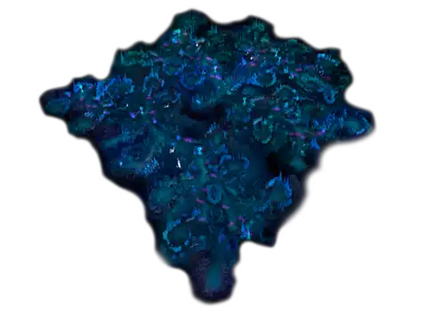 Forgotten Raklion žemėlapis